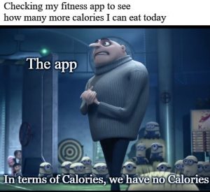 Fitness app development