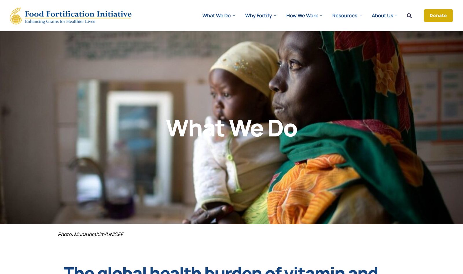 FFI What We Do page with a credited UNICEF photo of a mother and child and an intro to the global health burden of vitamin and mineral deficiency