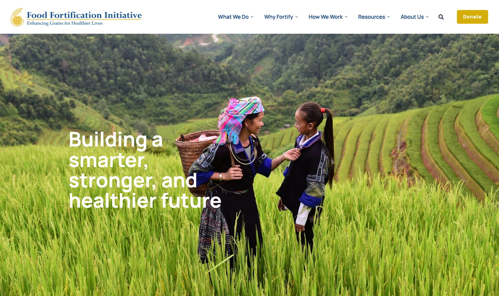 FFI homepage with a full-bleed rice-terrace field image and the building a smarter, stronger, and healthier future hero over the Food Fortification Initiative wordmark