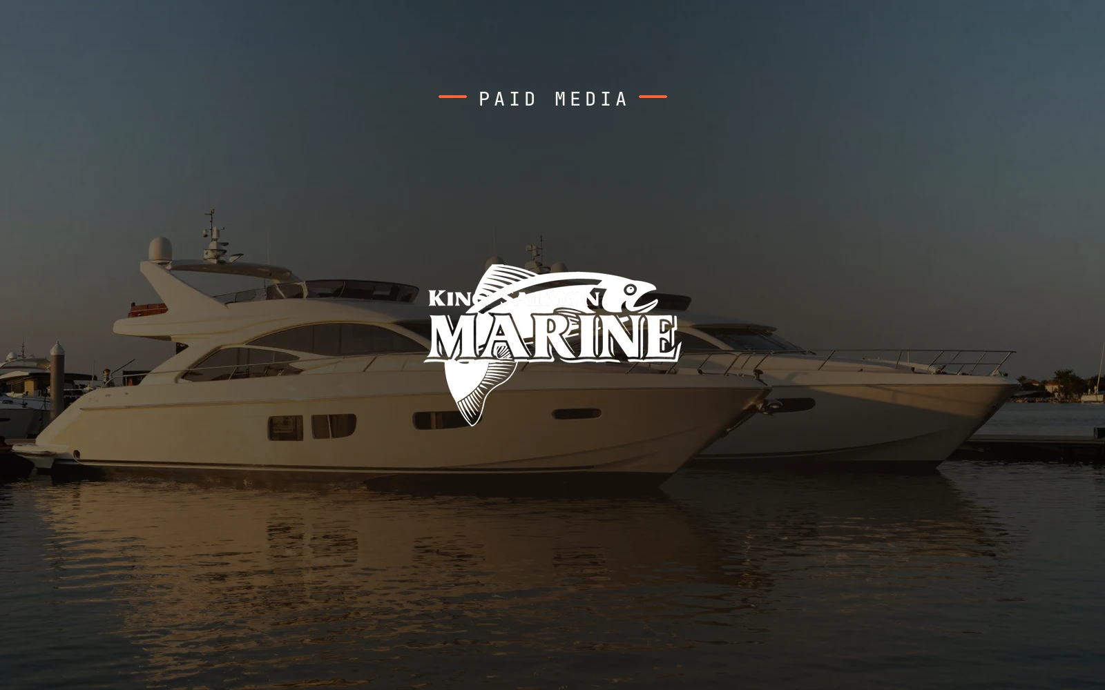 King Salmon Sales case study