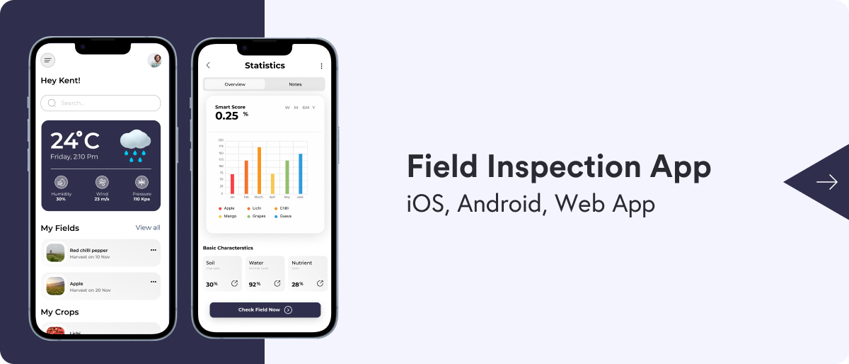 Field Inspection App